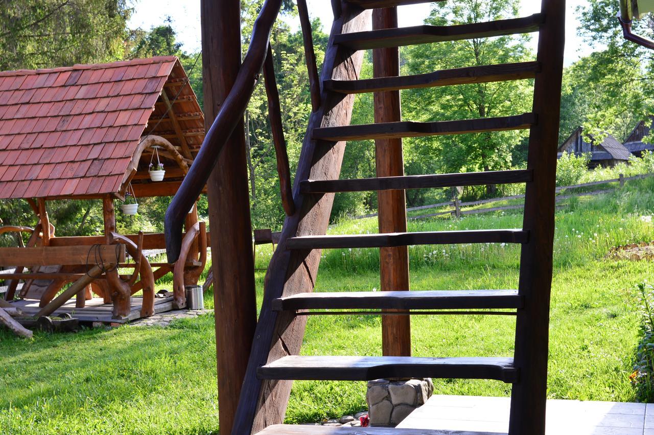 Zatishok Bilya Richky Villa Pilipets Ngoại thất bức ảnh